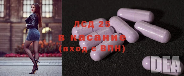 гашик Покровск