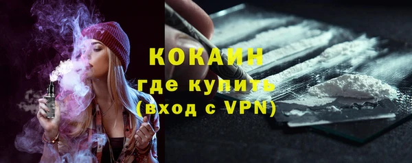 гашик Покровск