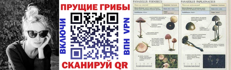 маркетплейс Telegram  Азов  Галлюциногенные грибы мицелий 