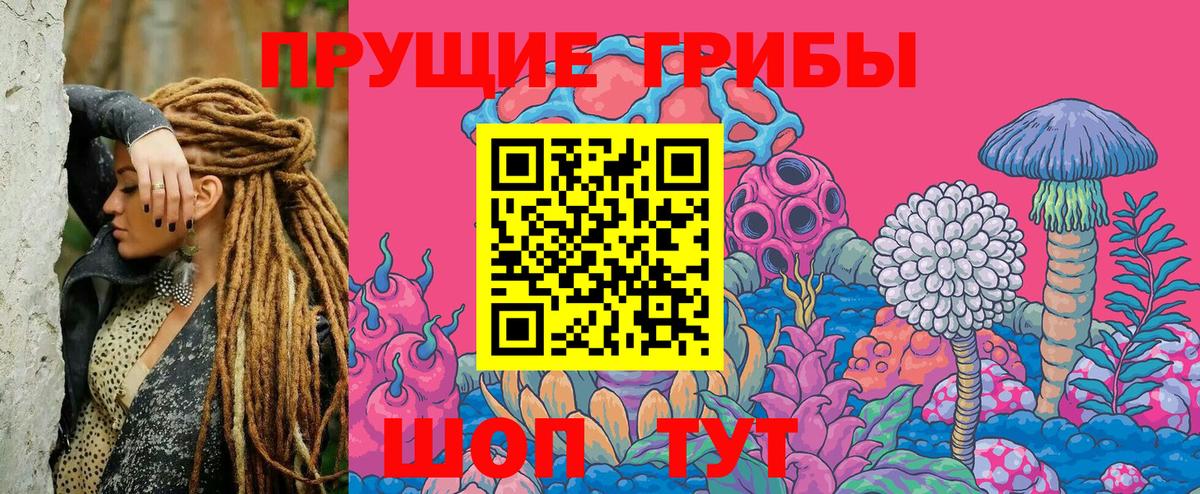 Псилоцибиновые грибы GOLDEN TEACHER  Вход с VPN  Азов 
